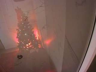 voyeurcam casa salsa bathroom 11